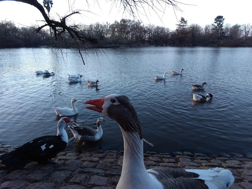 Reservas Naturales